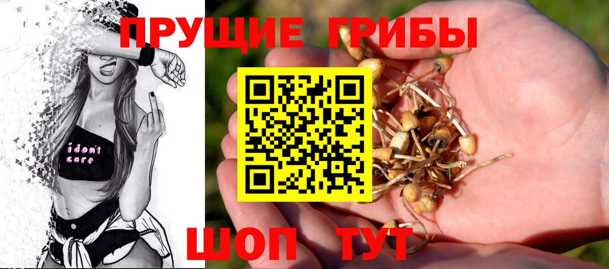 Галлюциногенные грибы Cubensis Кашира