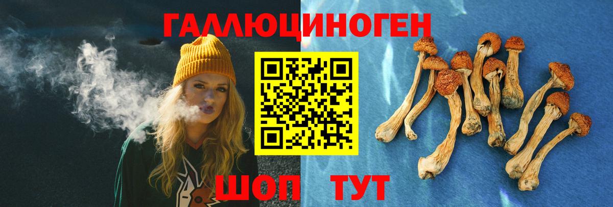 Галлюциногенные грибы MAGIC MUSHROOMS  Вход с VPN  Галлюциногенные грибы MAGIC MUSHROOMS  Кашира 