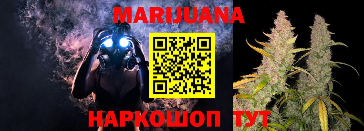 Канабис планчик Кашира